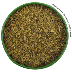Oregano, geschnitten