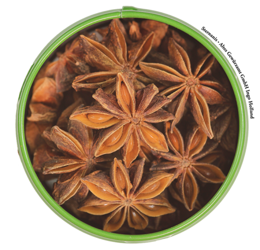 Sternanis ganz